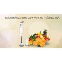 Máy xay sinh tố cầm tay PHILIPS HR1604