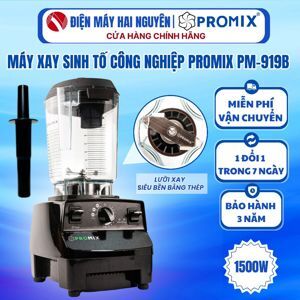 Máy xay sinh tố công nghiệp Promix PM-919B