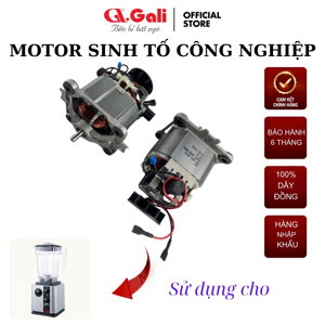 Máy xay sinh tố Gali GL-1520