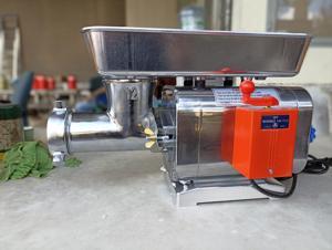 Máy xay thịt Royoung's 22