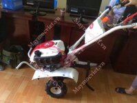 Máy xới đất đa năng Trâu Vàng chạy xăng 1WG4