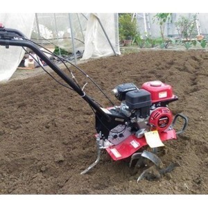 Máy xới đất Honda F300 IN