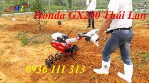 Máy xới đất Honda TL 601 (TL601)