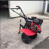 Máy Xới Đất Mini Chạy Xăng 7HP Kamastsu KM850
