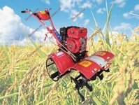 Máy xới đất mini đa năng dàn xới trước 1WGQ4.0-60