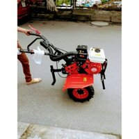 Máy xới đất oshima XDX-R 7HP nhiều ứng dụng Lên luống, tạo rãnh, phay, xới đất