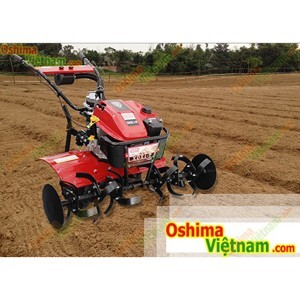 Máy xới đất OSHIMA XDX1-T 6HP