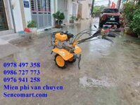Máy xới đất taro 170f đấu đầu trực tiếp. Máy xới đất Trâu Vàng Taro 170