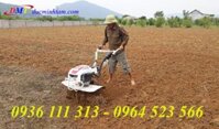 Máy Xới Đất Trâu Vàng Chống Rung 2020