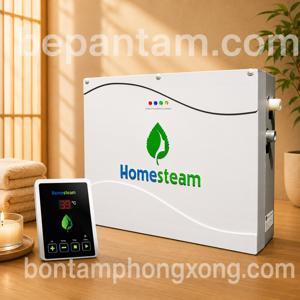 Máy xông hơi Homesteam MA 900