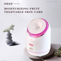 Máy xông hơi mặt thảo dược cao cấp DSP 70157A