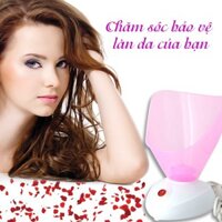 Máy xông hơi tinh dầu, hoa quả cho da mặt chính hãng Kemei