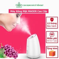 Máy xông mặt maoer phun sương tạo ẩm - xông hơi hoa quả tươi, hoa quả tại nhà