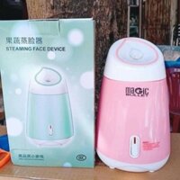 MÁY XÔNG MŨI, HỌNG, XÔNG MẶT, XÔNG HƠI MAGIC BULLET. MÁY XÔNG HOA QUẢ, VIÊN XÔNG, CHANH SẢ GỪNG