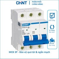 MCB 3P 3 PHA CỰC CB TÉP ÁT TÔ MÁT ÁP TÔ MÁT APTOMAT 6A 10A 16A 20A 25A 32A 40A 50A 63A 6kA NXB-63 CHINT - LOLi ELECTRIC