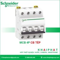 MCB 4P CB TÉP 3 PHA 6A 10A 16A 20A 25A 32A 40A 50A 63A 6kA Schneider iK60N Áp tô mát tép, át tép, CB Tép - KHẢI PHÁT