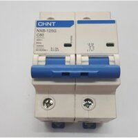 MCB - Áp to mát NXB-125G 2 pha 80A dòng cắt 10kA (Chính hãng) - CHINT