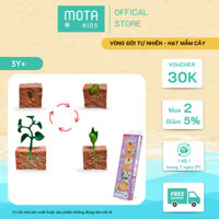 [MDK259 - Mota Montessori] Đồ chơi cho bé Vòng đời hạt mầm cây - Hàng chính hãng