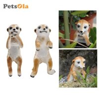 Meerkat Vườn Động Vật Tượng Trang Trí Sân Vườn Meerkat Hình Phong Cảnh Thu Nhỏ Cho Sân