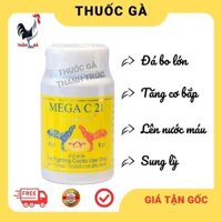 Mega C21 Thái Lan nuôi 7-10 hôm trước đá cho gà chọi