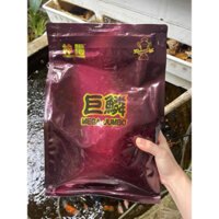 [MEGA JUMBO] 1KG Cám chép phi tần, phượng vũ (Hạt nổi)- Hỗ trợ tăng body và vây dài đẹp