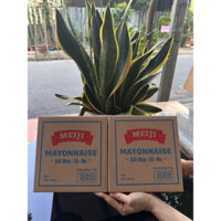 MEIJI- Combo2 sốt mayonnaise túi 3kg