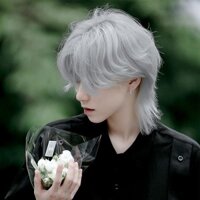 Meisu Sói Đuôi Tóc giả nam Tóc Ngắn Lưới Đỏ Mặt Trời Kiểu tóc Cá Cơm Granny grey đẹp trai điểm giữa chàng trai Full-He
