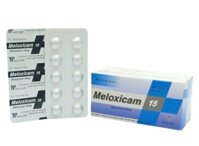 Meloxicam 15 meloxicam 15mg thành nam (h/100v)