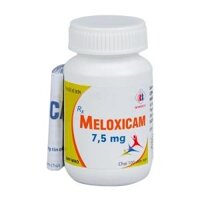 Meloxicam 7.5mg Domesco 100 Viên