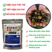 Men Bioem xử lý đáy ao cho ốc nhồi, ốc bươu đen