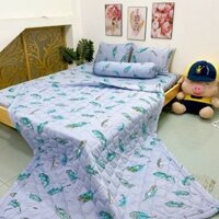 MỀN (CHĂN)CHẦN BÔNG COTTON THUN