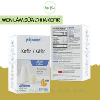 Men làm sữa chua Kefir giúp lợi khuẩn hỗ trợ hệ tiêu hoá - Yogourmet