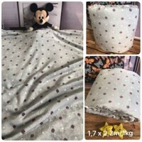 Mền lông tuyết 1m7x 2m2