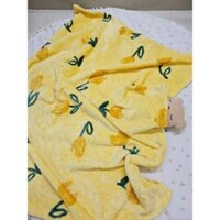 mền lông tuyết bazaar hàn quốc cao cấp siêu mịn nhiều mẫu