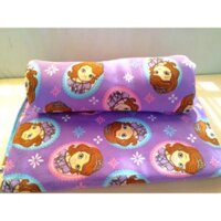 Mền nỉ Thái công chúa Sofia
