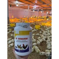 Men Tăng Miễn Dịch, Tăng Đề Kháng, Hỗ Trợ Điều Trị Các Bệnh Do Virus Vi Khuẩn AS - BETAGLUCAN Dùng Chuyên Cho Gà, Vịt