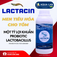 MEN TIÊU HÓA CHO TÔM THẺ CHÂN TRẮNG, TÔM SÚ, LACTACIN 500ML, NONG TO ĐƯỜNG RUỘT TÔM, NUÔI TRỒNG THỦY SẢN