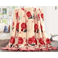 mền tuyết loại 1kg