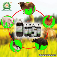 Men vi sinh cho gà, vịt 3A