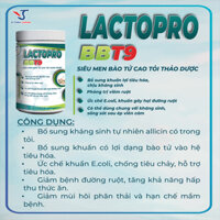 Men vi sinh LACTOPRO BBT9 men tỏi kết hợp vi sinh sống, tăng khả năng tiêu hóa, hũ 1000g