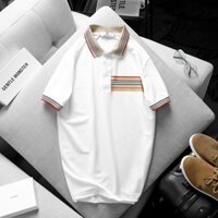 MENFOX - Áo polo nam cao cấp PACK PR có túi- Áo thun nam polo có cổ tay ngắn cá sấu-Áo thun nam đẹp ngầu