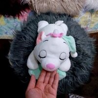 mèo bông minisol mềm mịn