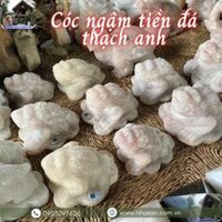 Mẹo chọn cóc ngậm tiền bằng đá thạch anh để thu hút tài khí