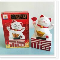 Mèo Thần Tài Chữ Phúc