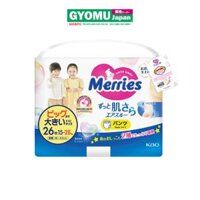 Merries Ta Quan XXL26x3 2311