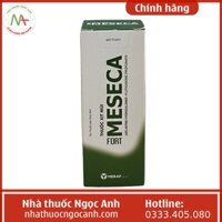 Meseca Fort