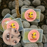 Mestay official - Trục Uốn Mi Mango Rod 5 size Trục Uốn Mi Hàn Quốc với 5 cặp size Loại C curl