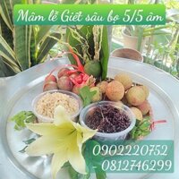 Mẹt cúng Tết Đoan Ngọ 5/5 âm (giết sâu bọ)