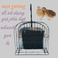 mẹt gương 2 mặt bẫy cút