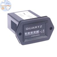 Metertryred 1PC 6 chữ số Đồng hồ đo giờ AC 220V, Bộ đếm giờ thạch anh kín hoàn chỉnh 12v-36v dc VN